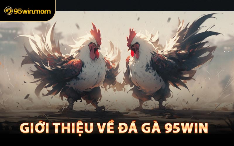 Giới Thiệu Về Đá Gà 95win