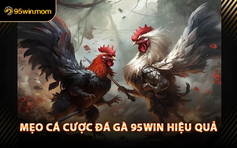 Mẹo Cá Cược Đá Gà 95win Hiệu Quả