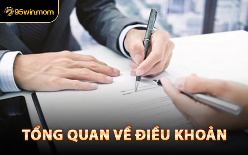 Tổng Quan Về Điều Khoản