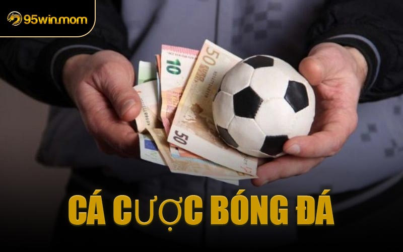 Cá Cược Bóng Đá