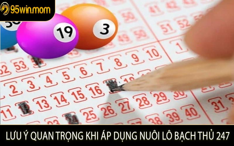 Lưu Ý Quan Trọng Khi Áp Dụng Nuôi Lô Bạch Thủ 247